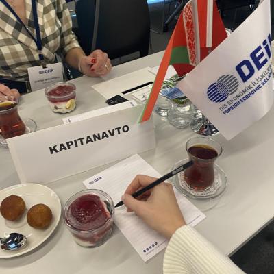 Деловой визит в Турецкую Республику