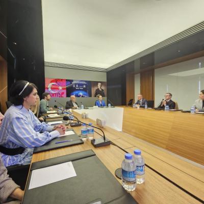 Деловой визит в Турецкую Республику